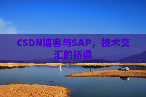 CSDN博客与SAP，技术交汇的桥梁
